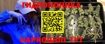 индика Нарткала