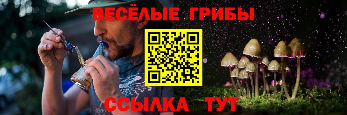 Тольятти  Псилоцибиновые грибы мухоморы  Вход с VPN 